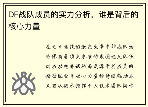 DF战队成员的实力分析，谁是背后的核心力量