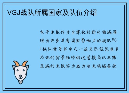 VGJ战队所属国家及队伍介绍