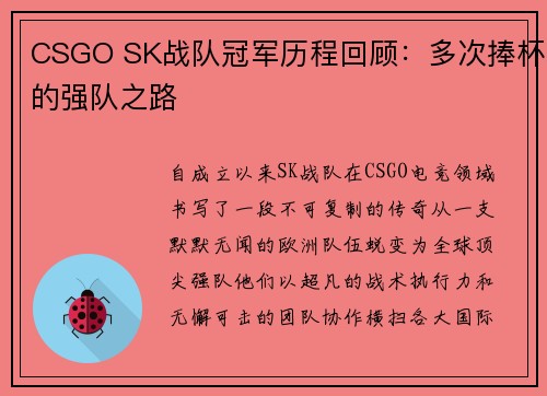 CSGO SK战队冠军历程回顾：多次捧杯的强队之路